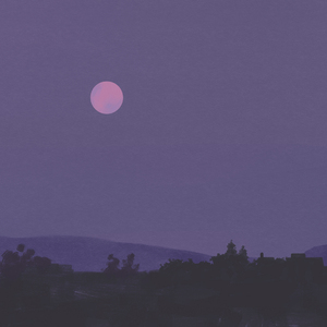 大鸡巴操小逼性虐待免费视频
